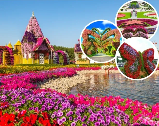 Dubai Miracle Garden Flowers